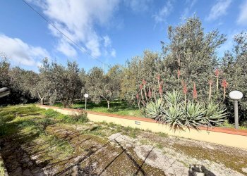 Foto 33 - Casa semi indipendente Contrada Piano Inferno, Trappeto - foto 33