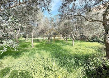 Foto 35 - Casa semi indipendente Contrada Piano Inferno, Trappeto - foto 35