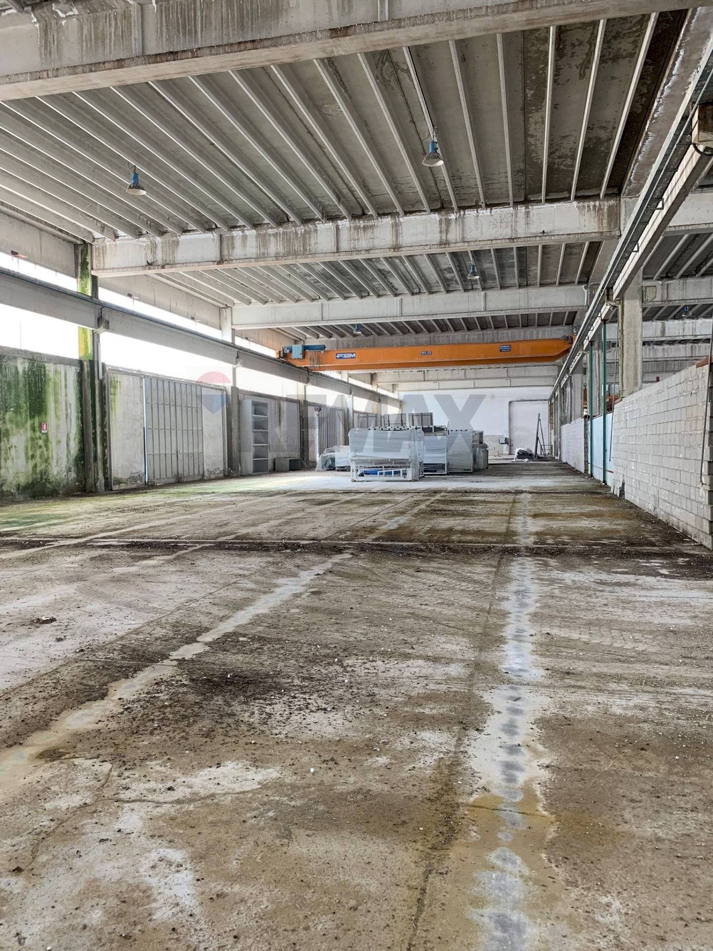 Parcheggio - Capannone via Torrione
SNC, Puglianello - foto 3