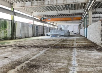 Parcheggio - Capannone via Torrione
SNC, Puglianello - foto 3