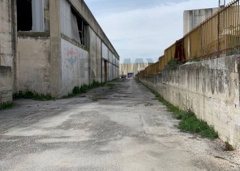 Edificio all\'aperto - Capannone via Torrione
SNC, Puglianello - foto 4