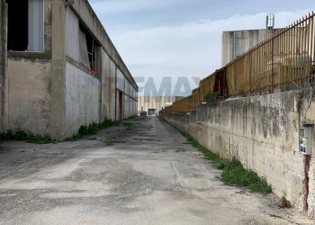 Edificio all\'aperto - Capannone via Torrione
SNC, Puglianello - foto 5