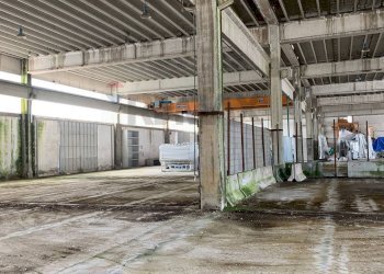 Parcheggio - Capannone via Torrione
SNC, Puglianello - foto 13