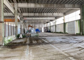 Parcheggio - Capannone via Torrione
SNC, Puglianello - foto 14