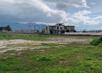 Giardino - Capannone via Torrione
SNC, Puglianello - foto 34