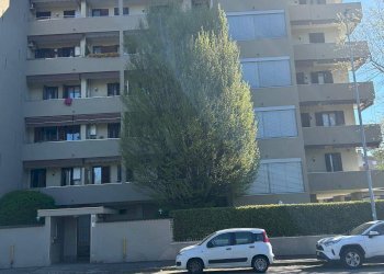 Foto 11 - Trilocale Via Don Mezzera, Nova Milanese - foto 11