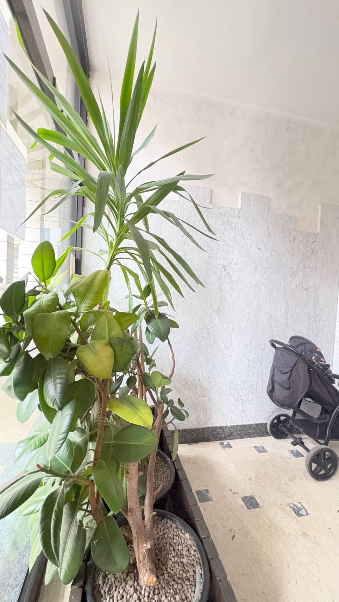 Foto 1 - Bilocale Mantova - foto 1