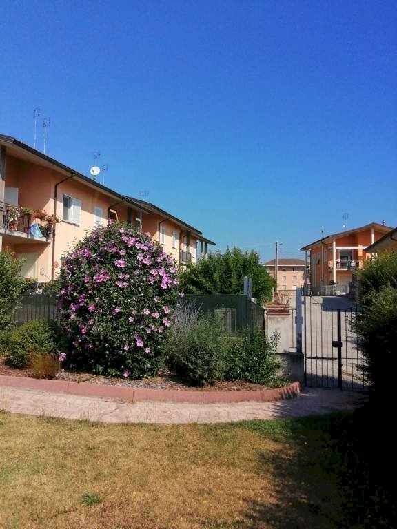Giardino - Villa via del Cantalupo, Rocca de' Baldi - foto 1