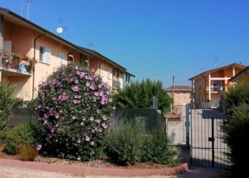 Giardino - Villa via del Cantalupo, Rocca de' Baldi - foto 3