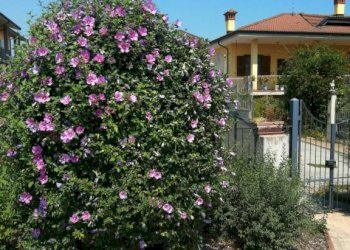 Ingresso - Villa via del Cantalupo, Rocca de' Baldi - foto 4