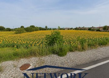Foto 9 - Terreno agricolo via Santa giustina, Montichiari - foto 9