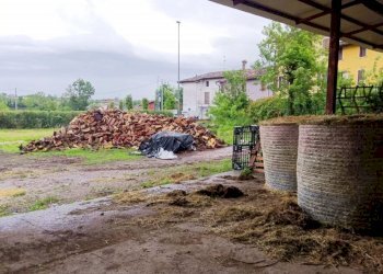 giardino - Rustic Pontenove, Bedizzole - photo 4