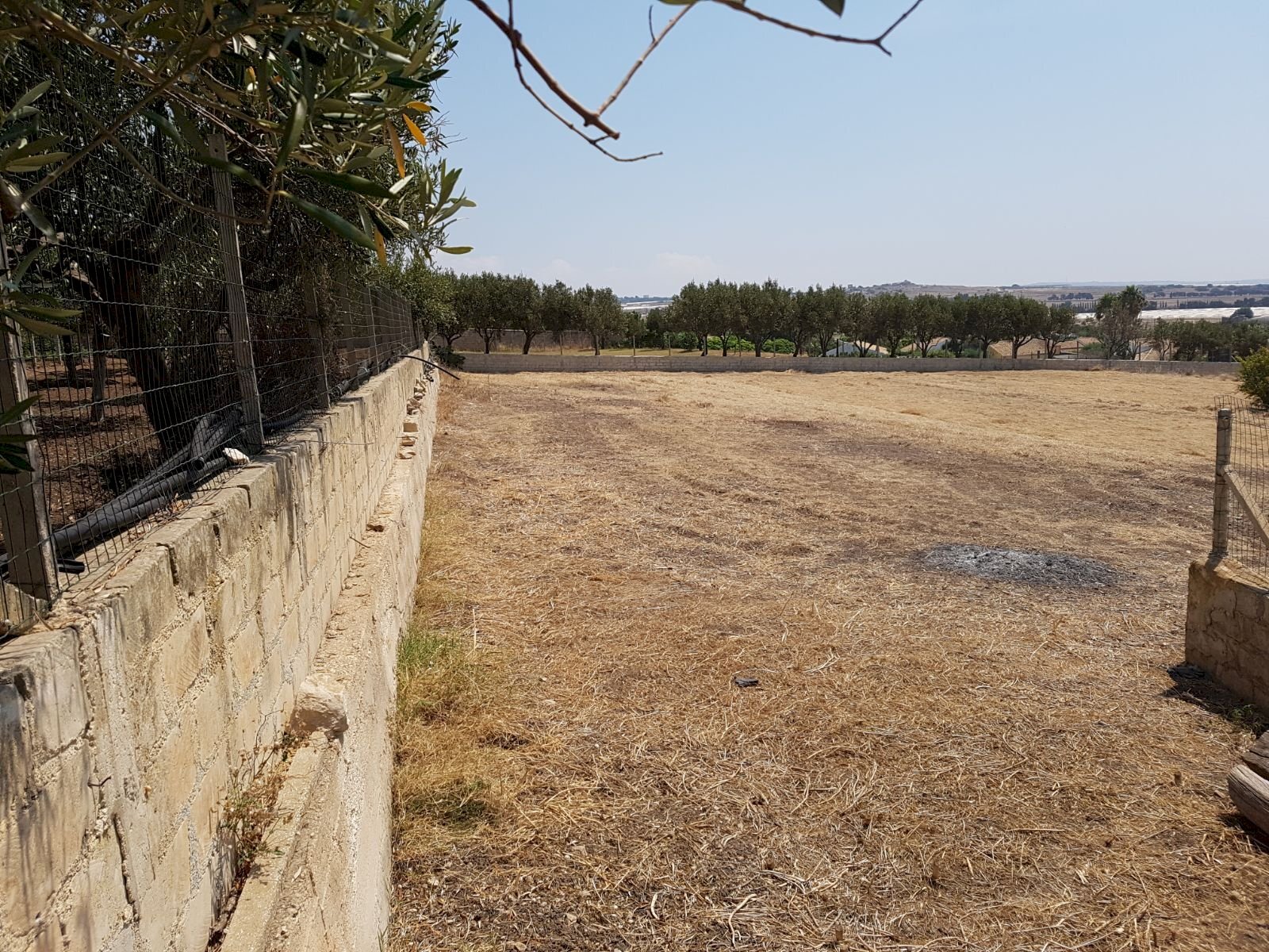 Agricultural land CONTRADA MAESTRO, Scicli - photo 3