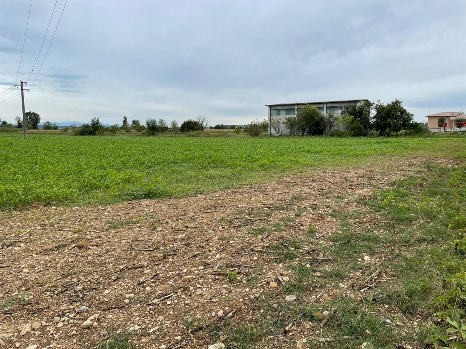 Foto 3 - Terreno edificabile Sacca, Montichiari - foto 3