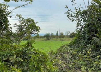 Foto 1 - Terreno edificabile Sacca, Montichiari - foto 1