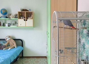 camera da letto - Three-room apartment Giovanni XXIII, Prevalle - photo 17