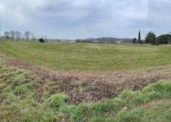 Foto 3 - Terreno edificabile monte alto, Solferino - foto 3