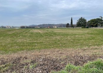 Foto 5 - Terreno edificabile monte alto, Solferino - foto 5