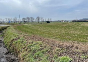 Foto 6 - Terreno edificabile monte alto, Solferino - foto 6