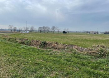 Foto 9 - Terreno edificabile monte alto, Solferino - foto 9