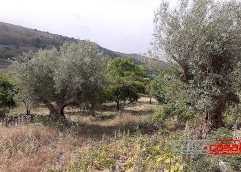 Rustico C.DA FIUMELATO, Scicli - foto 13