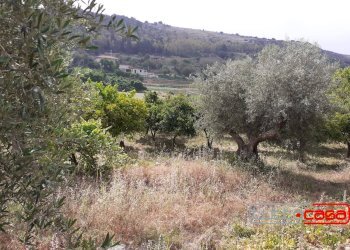 Rustico C.DA FIUMELATO, Scicli - foto 14