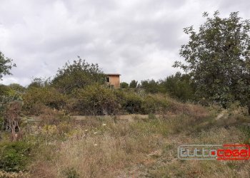 Rustico C.DA FIUMELATO, Scicli - foto 16