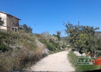 Rustico C.DA FIUMELATO, Scicli - foto 21