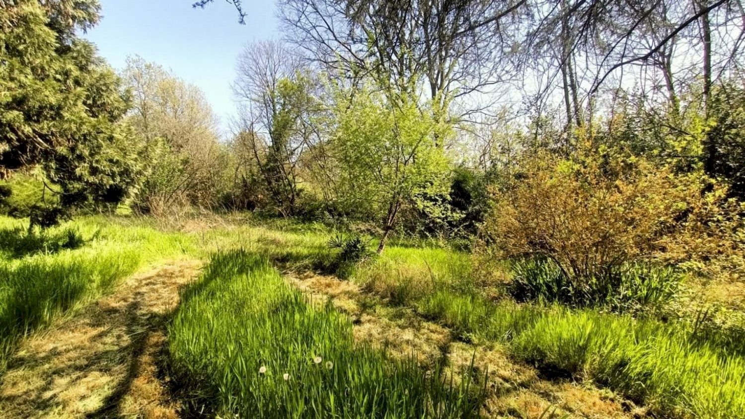 Foto 1 - Terreno agricolo via valle scura, Castiglione delle Stiviere - foto 1
