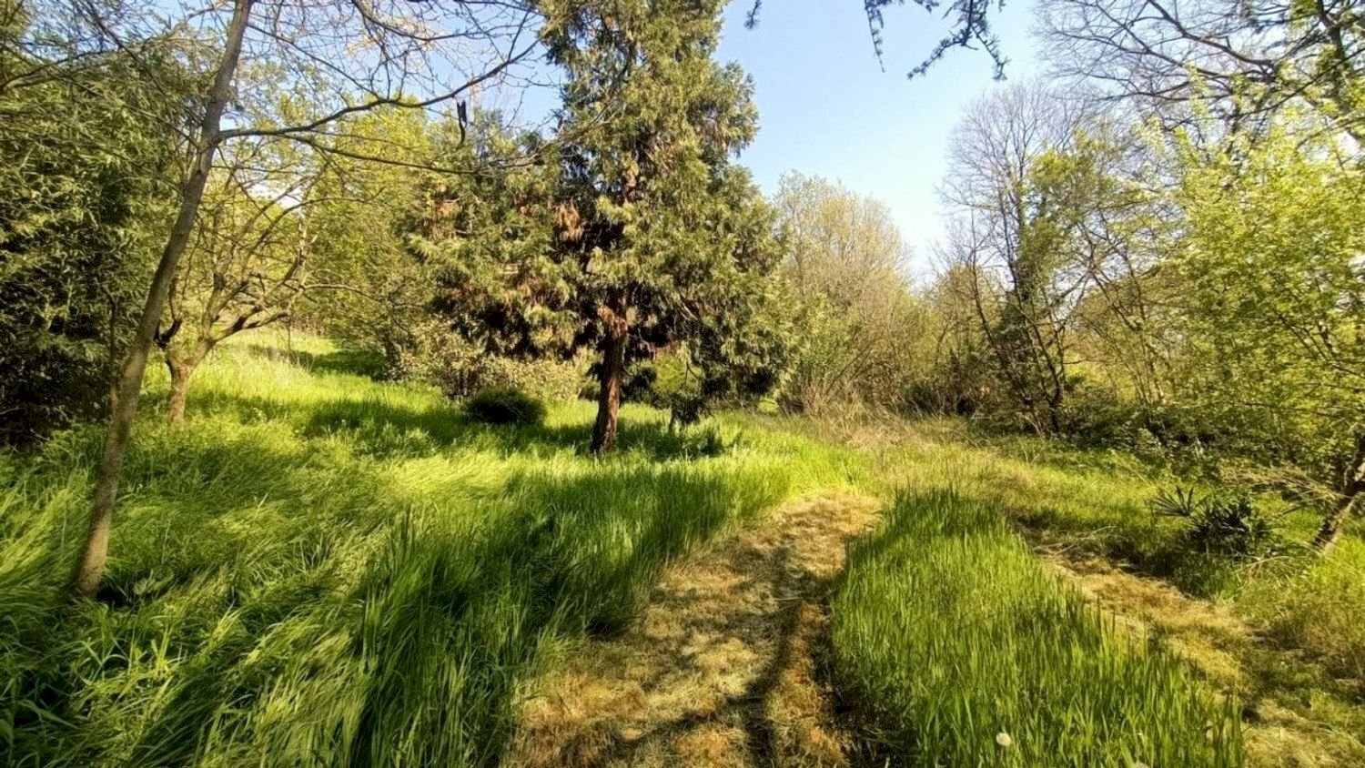 Foto 2 - Terreno agricolo via valle scura, Castiglione delle Stiviere - foto 2