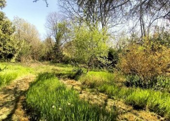 Foto 1 - Terreno agricolo via valle scura, Castiglione delle Stiviere - foto 1