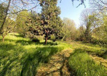 Foto 4 - Terreno agricolo via valle scura, Castiglione delle Stiviere - foto 4