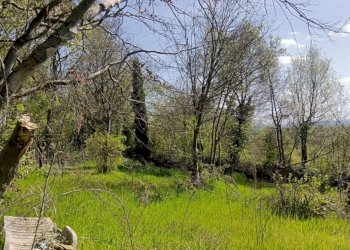 Foto 5 - Terreno agricolo via valle scura, Castiglione delle Stiviere - foto 5