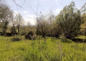 Foto 10 - Terreno agricolo via valle scura, Castiglione delle Stiviere - foto 10