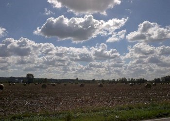vista - Rustic cerrutti, Lonato del Garda - photo 9