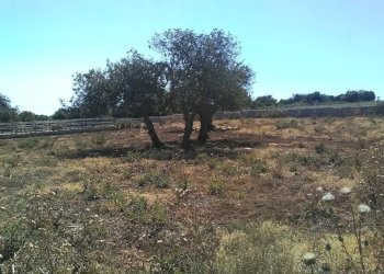 Rustico COSTA VERDE, Scicli - foto 4