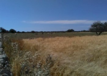 Rustico COSTA VERDE, Scicli - foto 13