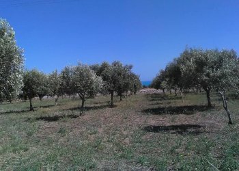 Rustico COSTA VERDE, Scicli - foto 18