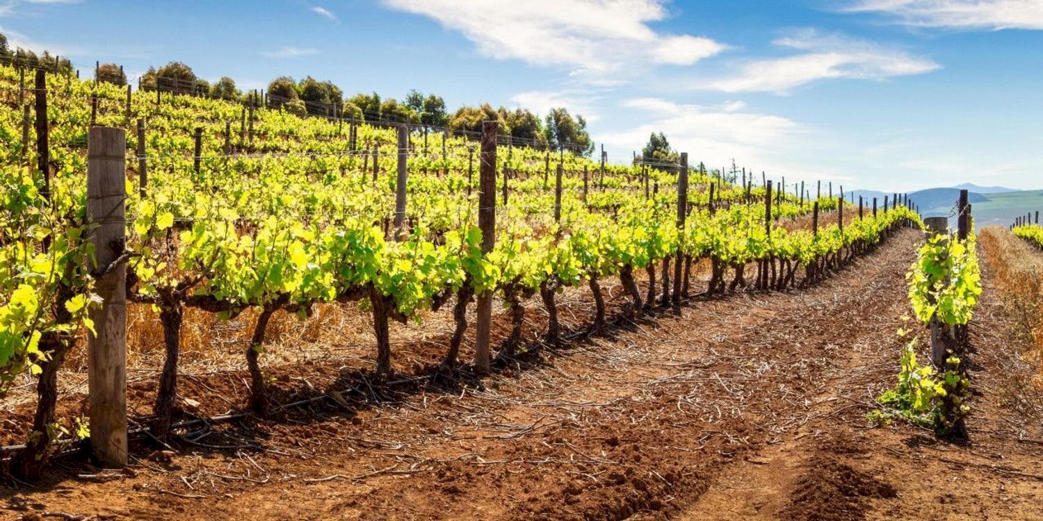 Foto 2 - Terreno edificabile San Marco, Lonato del Garda - foto 2