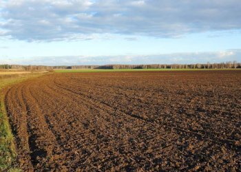 vista - Terreno edificabile San Marco, Lonato del Garda - foto 5