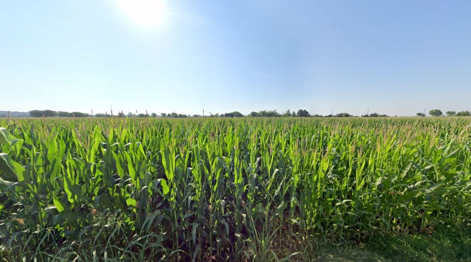 Foto 3 - Terreno agricolo La Pozza, Castiglione delle Stiviere - foto 3
