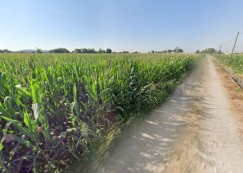 Foto 2 - Terreno agricolo La Pozza, Castiglione delle Stiviere - foto 2