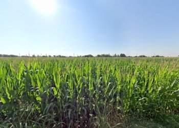 Foto 3 - Terreno agricolo La Pozza, Castiglione delle Stiviere - foto 3