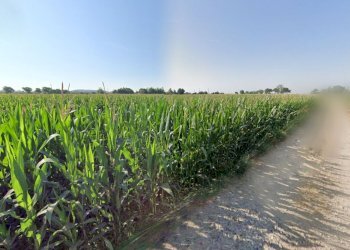 Foto 7 - Terreno agricolo La Pozza, Castiglione delle Stiviere - foto 7