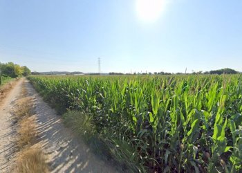 Foto 8 - Terreno agricolo La Pozza, Castiglione delle Stiviere - foto 8