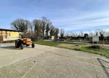 Foto 27 - Rustico Monte Pagano, Cavriana - foto 27