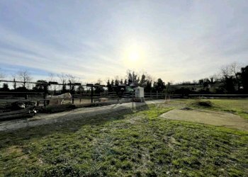 giardino - Rustico Monte Pagano, Cavriana - foto 30