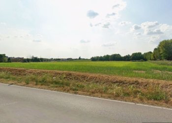 Foto 8 - Terreno agricolo Provinciale 28, Calvagese della Riviera - foto 8