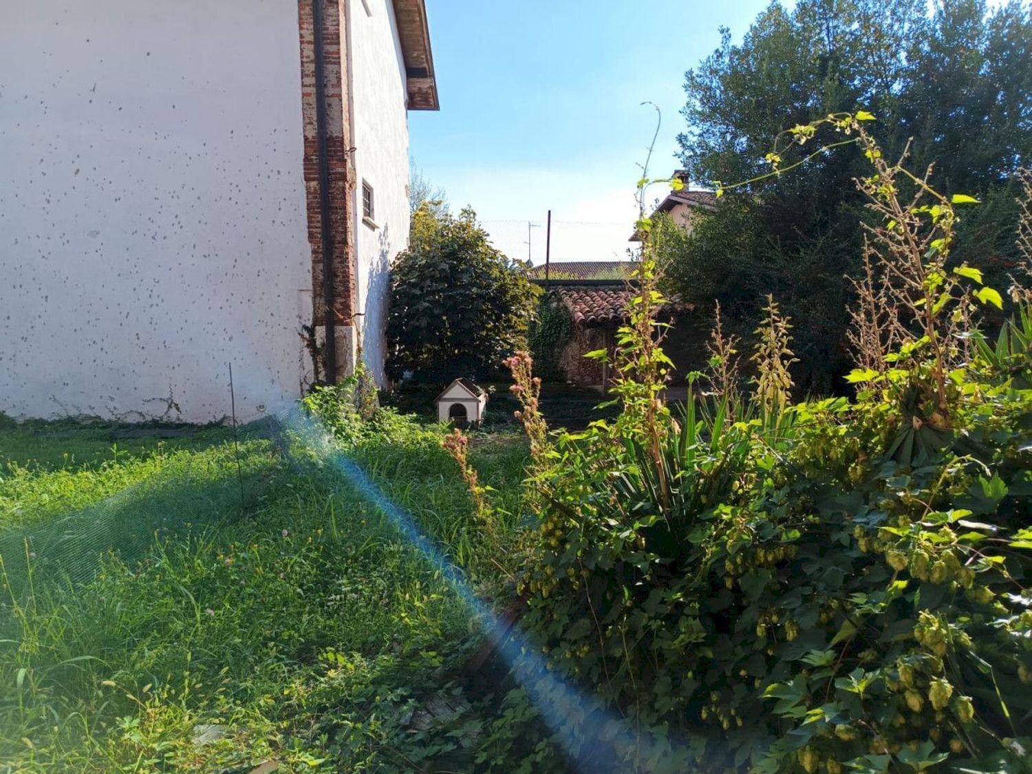 giardino - Trilocale Municipio, Calvagese della Riviera - foto 3