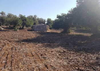 Rustico C.DA PIANI, Scicli - foto 10